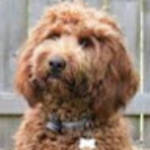profile placeholder