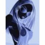 profile placeholder