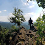 profile placeholder