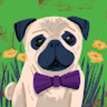 profile placeholder