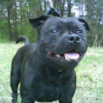 profile placeholder