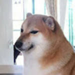 profile placeholder