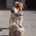profile placeholder