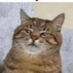 profile placeholder