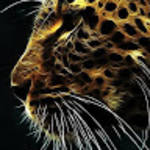 profile placeholder