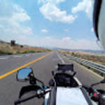 profile placeholder