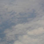 profile placeholder