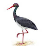 profile placeholder