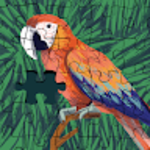 profile placeholder