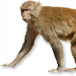 profile placeholder