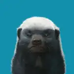 profile placeholder