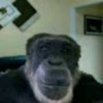 profile placeholder