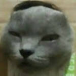 profile placeholder