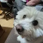profile placeholder