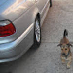 profile placeholder