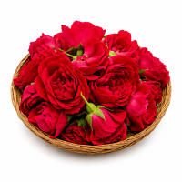 Fresh Rose flowers