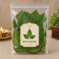 bael leaves for shiva puja, 