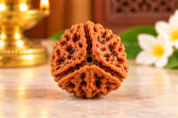 Natural Rudraksha Bead