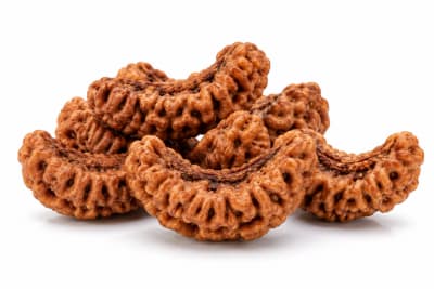 1 Mukhi Half-Moon Kaju Dana Rudraksha Bead