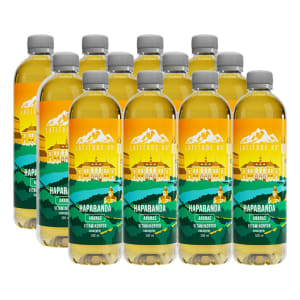 Latitude 65 Vitamindryck Haparanda Ananas