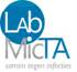 LabMicTA