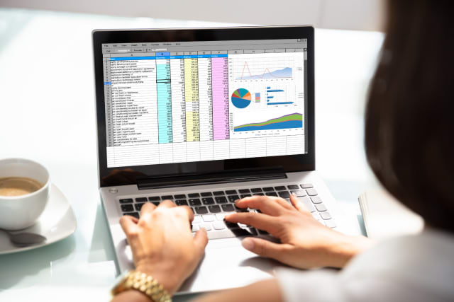 Basic Microsoft Excel 2019 and 365