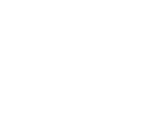 Polar Bears International logo