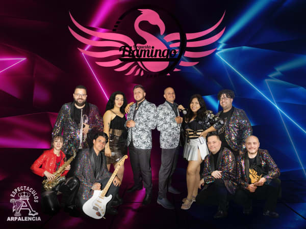 Logo de Orquesta Flamingo