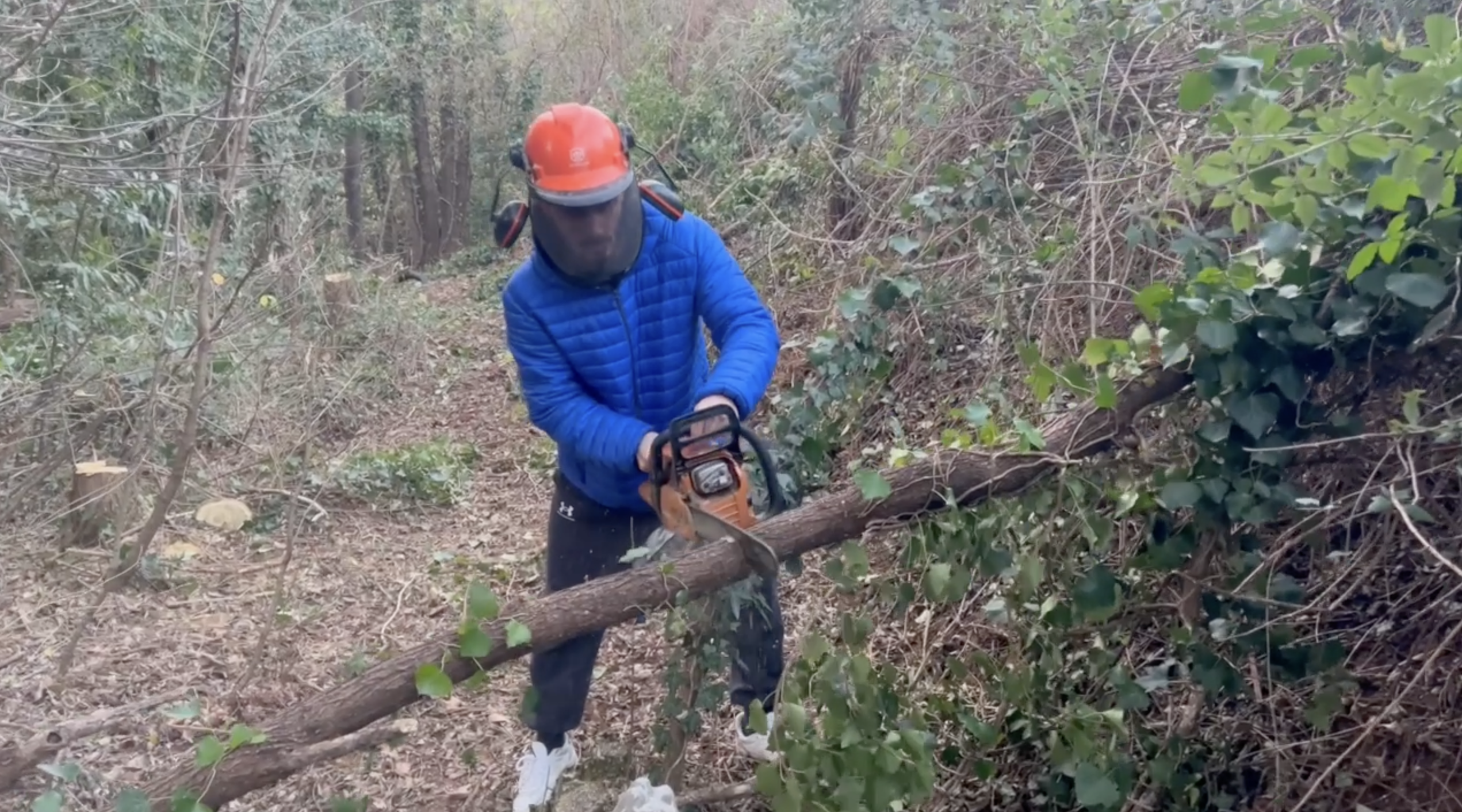 Come realizzare pali in legno di robinia per una recinzione
