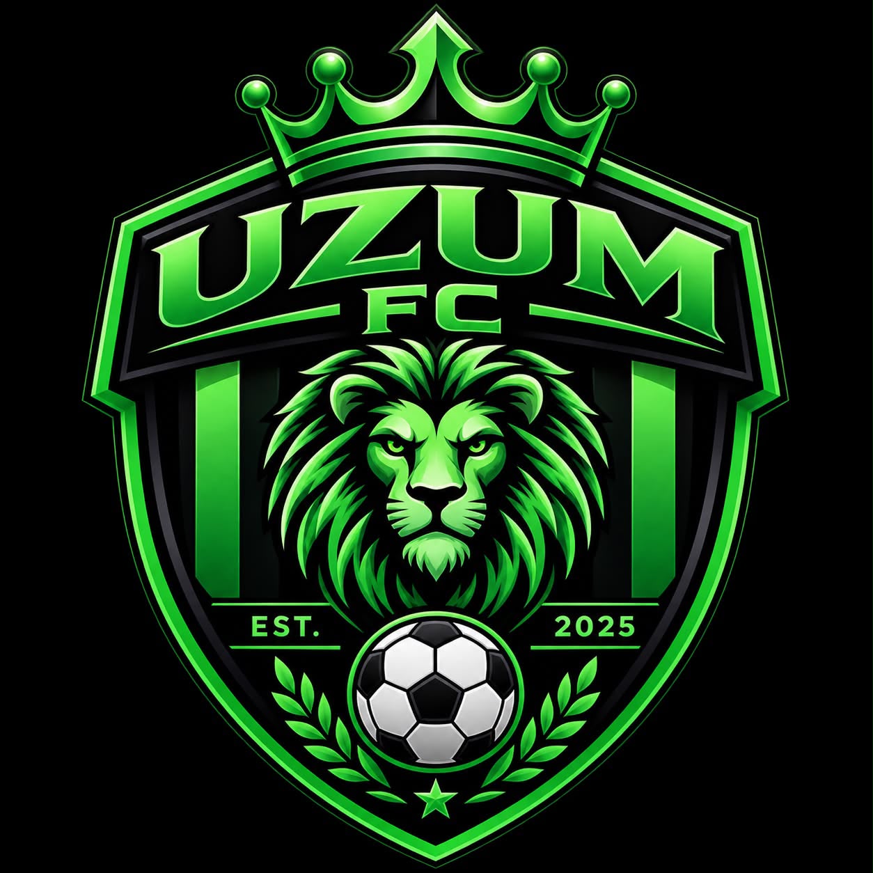 Uzum FC logo