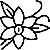 Vanilla Simple Syrup Image Icon