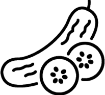 Cucumber Image Icon