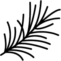 Rosemary Image Icon