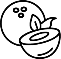 Coconut Image Icon
