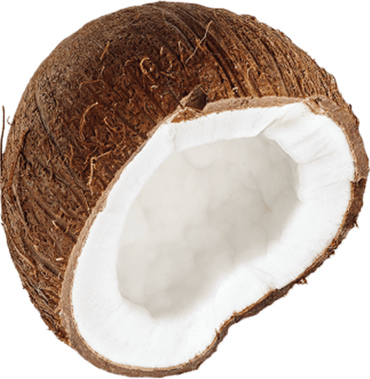 coconut