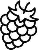 Blackberry Image Icon