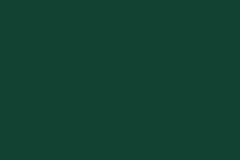 Color RAL 6005