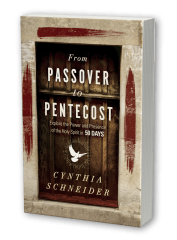 From Passover to Pentecost: Explore the Power and Presence of the Holy Spirit in 50 Days (Hardcover)