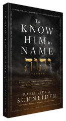 To Know Him by Name: Discover the Power and Promises Revealed in the Hebrew Names and Titles of God (2024 Hardcover)