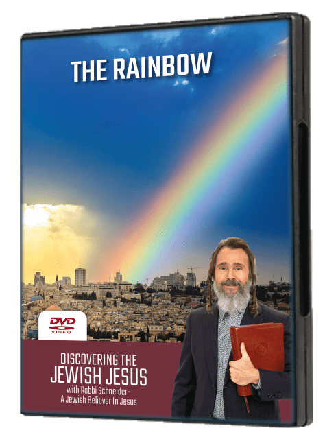 The Rainbow