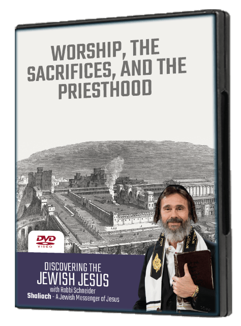 Worship, the Sacrifices and the Priesthood