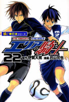 エリアの騎士【極！単行本シリーズ】22巻