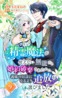 精霊魔法が使えない無能だと婚約破棄されたので、義妹の奴隷になるより追放を選びました　9巻