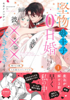 堅物戦王子と0日婚しましたが彼の×××が大きすぎます～残りもの姫、人生最大のピンチです～１【電子限定特典付】