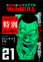 Web BULL21号