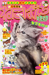 ねこぱんち No.171 猫年末号