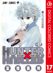 HUNTER×HUNTER カラー版（17）