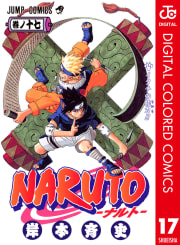NARUTO―ナルト― カラー版（17）