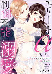 エリートαの制御不能な溺愛 ～氷のαは秘密の奥まで溶かされる～（分冊版） 【第4話】