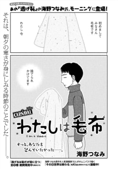 わたしは毛布